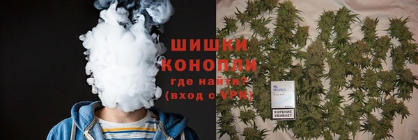 стаф Волоколамск