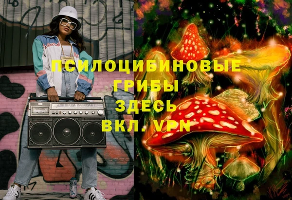 меф Вяземский