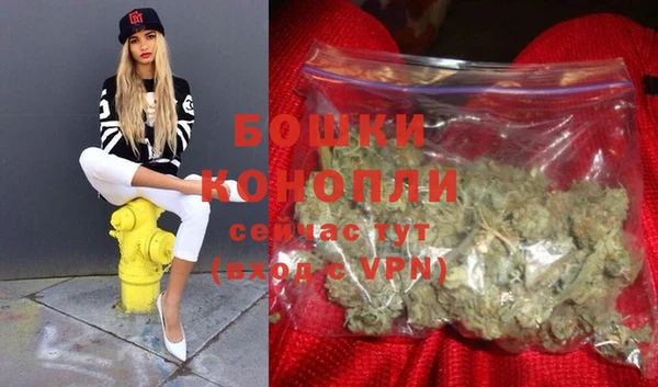 стаф Волоколамск