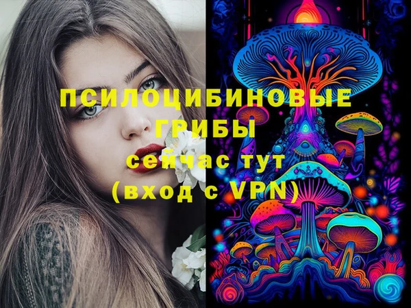 амф Володарск