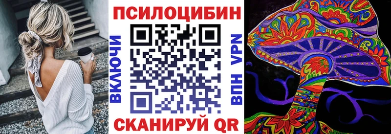 Псилоцибиновые грибы мицелий  Купить где  Лагань 